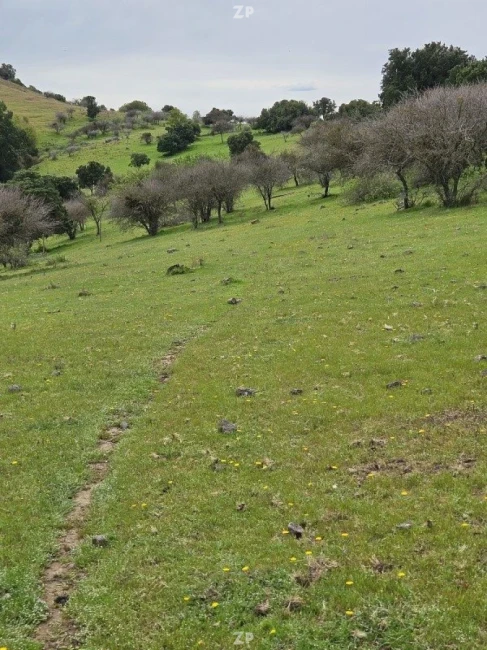 Parcelación Palmas de Santa Cruz de 45,6 hectáreas