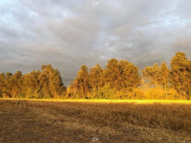 Vendo parcelas en san juan de la sierra