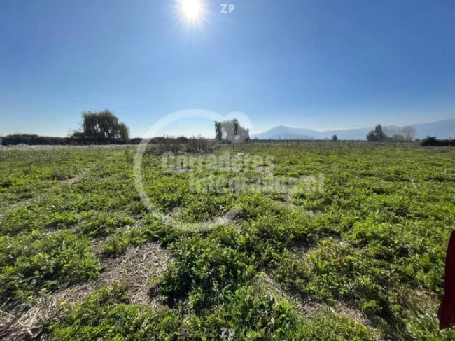 Espectacular parcela cuenta con un amplio terreno