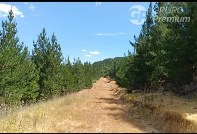 Fantástica parcela de terreno en la ruta 776
