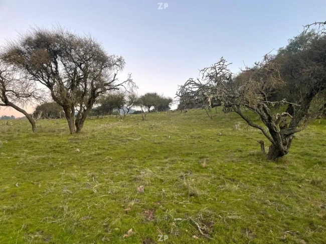 Parcelas de 10.000m2 A 20 minutos de Ruta 5 Sur