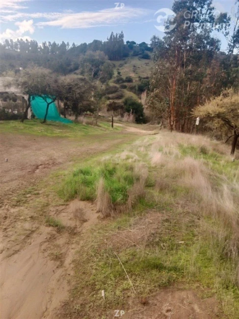 En venta hermosa parcela agrícola de 2.5 hectáreas
