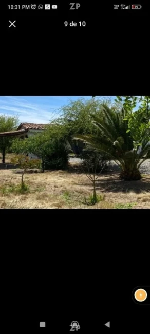 Foto 3 de la propiedad