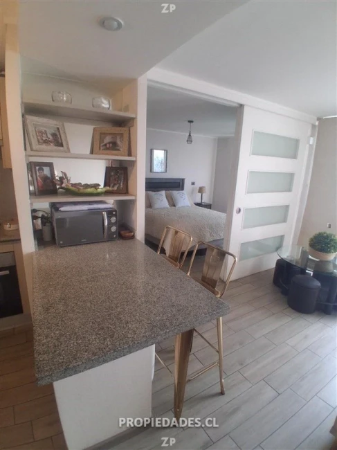 Acogedor y hermoso departamento en Ñuñoa
