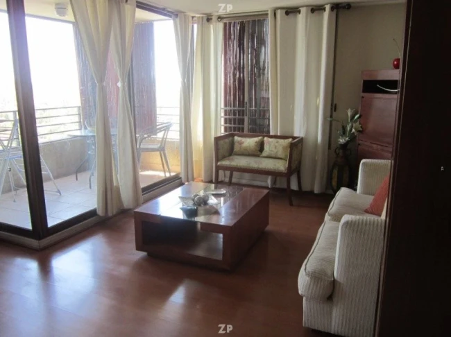 Estupendo departamento , completamente AMOBLADO