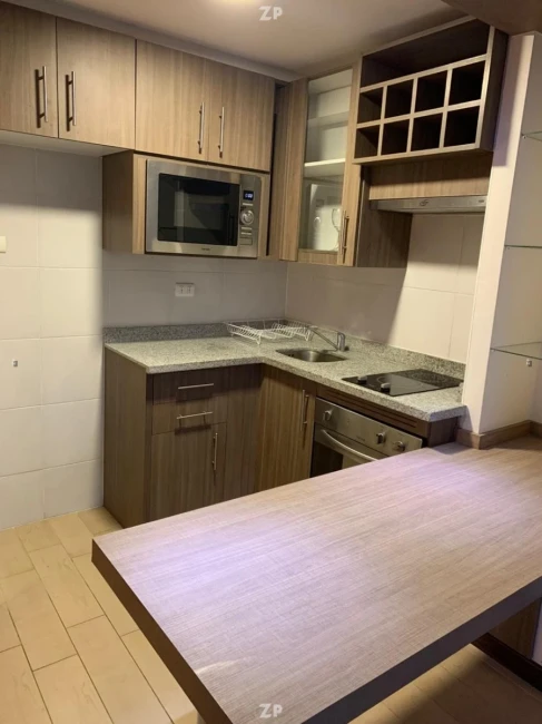 Depto 1 dormitorio en suite, terraza