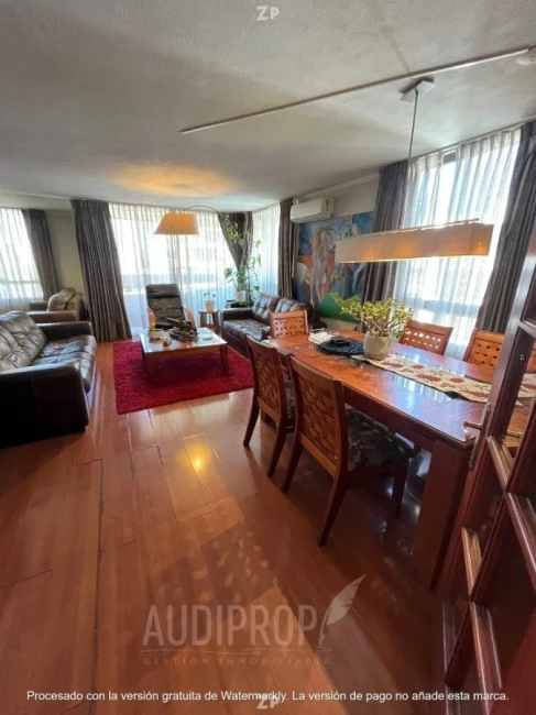 Excelente Departamento Providencia