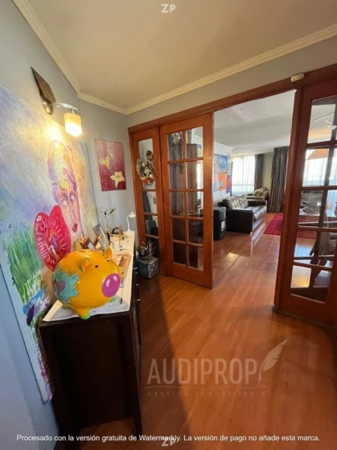 Excelente Departamento Providencia