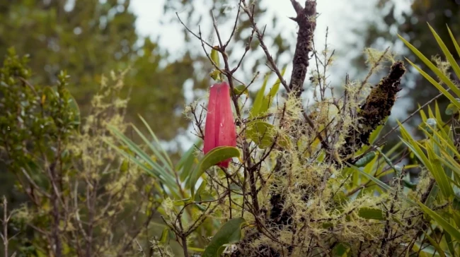 OPORTUNIDAD VENTA DE TERRENO
