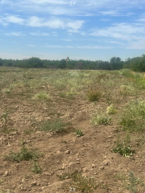 OPORTUNIDAD COMERCIAL ÚNICA EN LAMPA - 10 A 26 HECTÁREAS DE TERRENO.