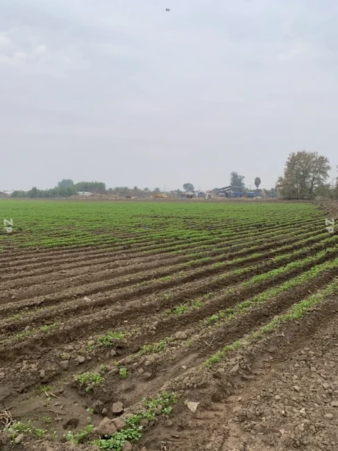 Terreno de 71.000 m2 en Lampa – Ideal para inversionistas!