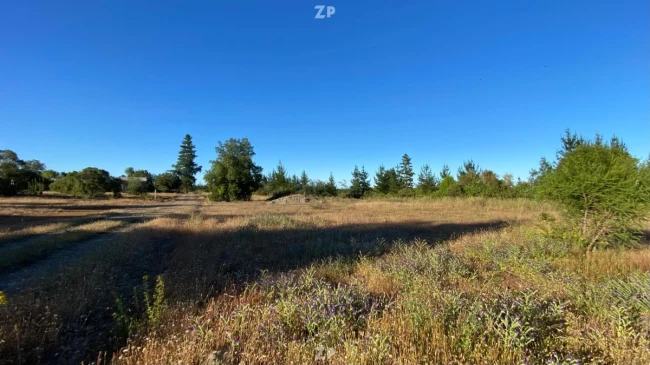 Media hectárea con vista y naturaleza en Lomas de Machicura