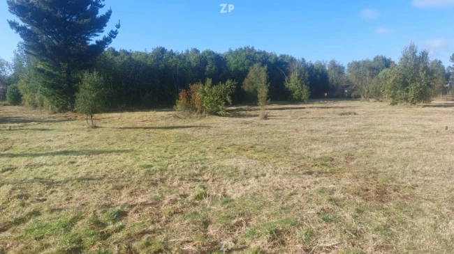 Hermosa parcela en Villarrica – sector Ñancul
