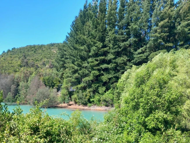 Venta Directa de Parcela en Lago Colbún – Sector Las Pataguas Poniente