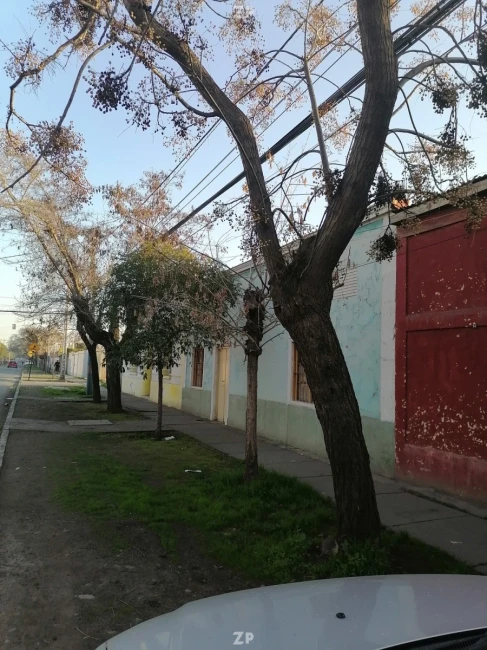 Foto 3 de la propiedad