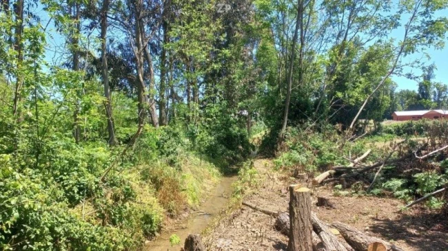 Se vende casa amobalda de 240m² , en un terreno de 25.000 m²