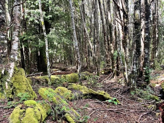 Tu terreno de montaña te está esperando!!