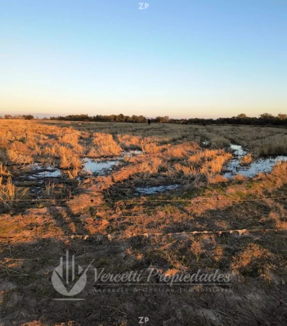 ¡Oportunidad! Se vende Campo de 15 Hectáreas en Parral