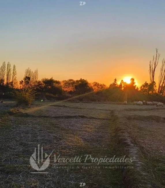 ¡Oportunidad! Se vende Campo de 15 Hectáreas en Parral
