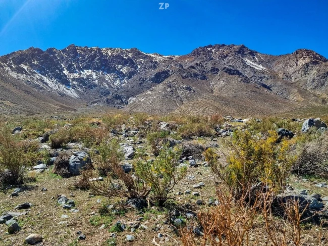 Venta de parcela sector El Pangue, Vicuña, 5.000 m2. $13 millones