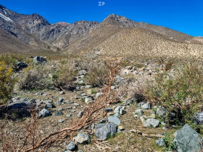 Venta de parcela sector El Pangue, Vicuña, 5.000 m2. $13 millones