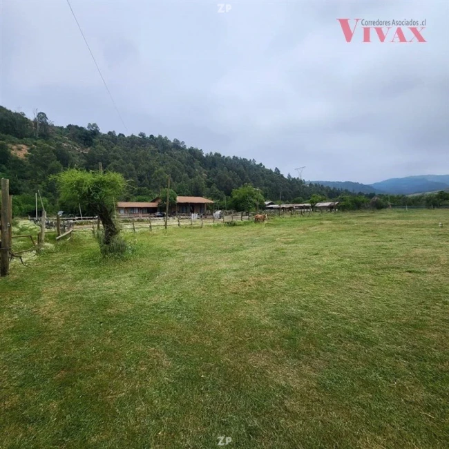 En venta Casa en Fundo Los Maitenes, Zapallar
