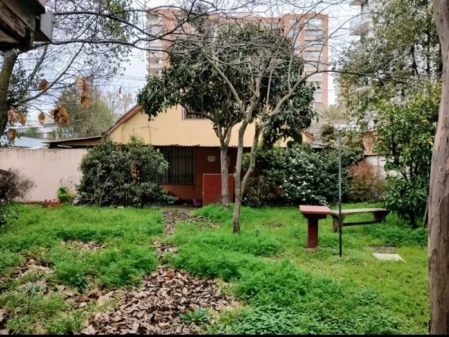 Foto 2 de la propiedad