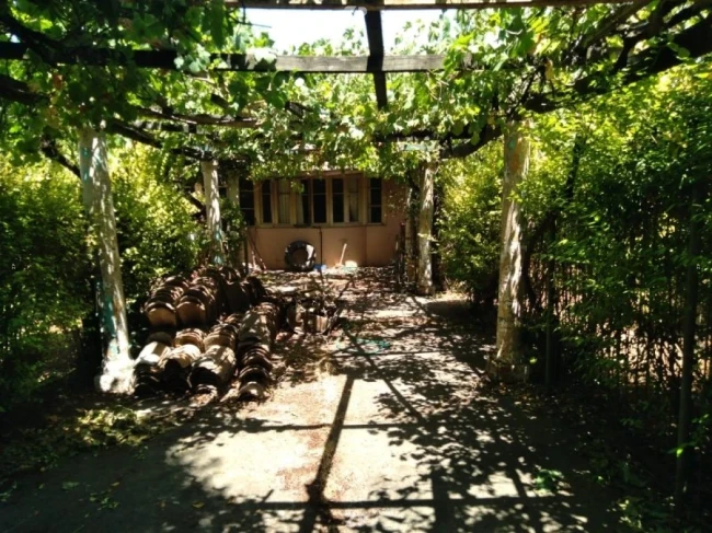 Foto 3 de la propiedad