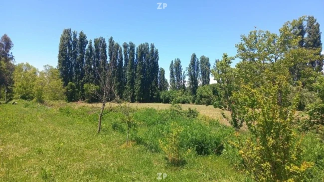 Foto 2 de la propiedad