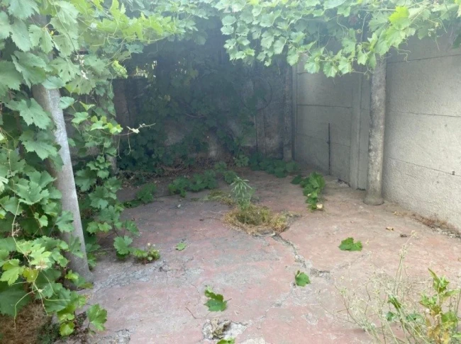 Foto 3 de la propiedad