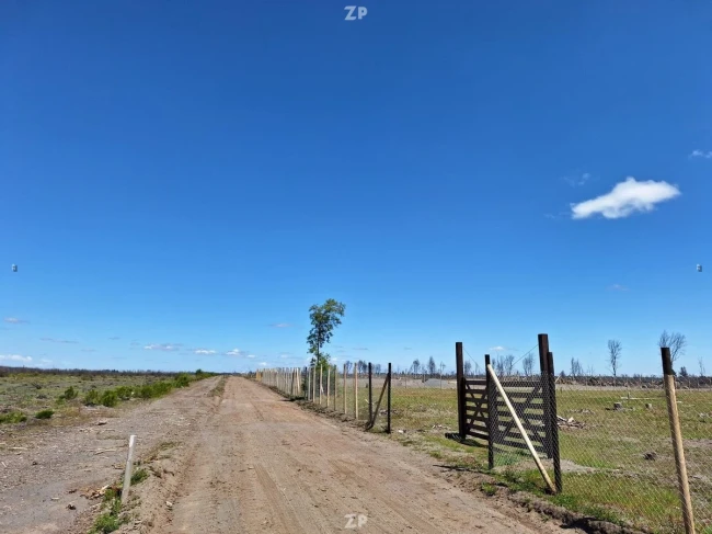 Se venden dos espectaculares parcelas planas de 5.000 m cada una