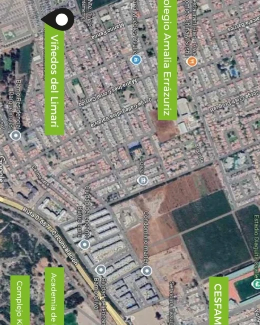 Viñedos del Limarí