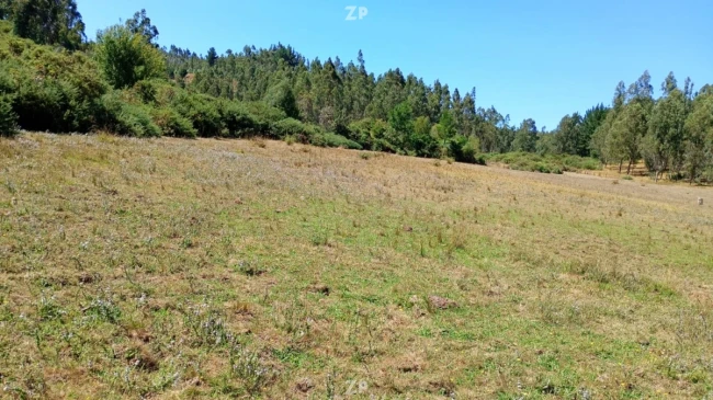 Terreno 