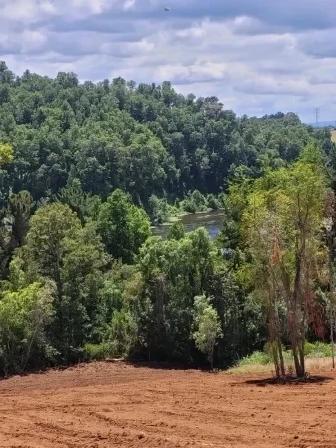 5.000 m² en Terrazas Valdivianas – Vive Rodeado de Naturaleza