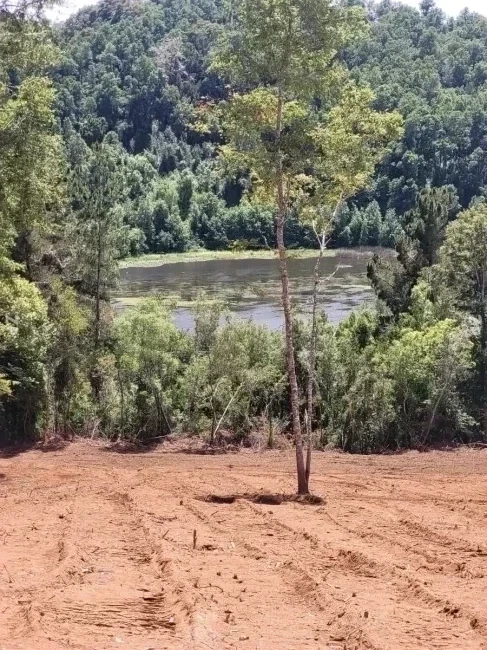 5.000 m² en Terrazas Valdivianas – Vive Rodeado de Naturaleza