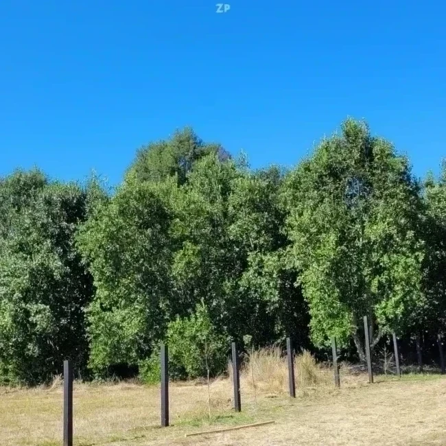 Se vende Hermosa parcela 