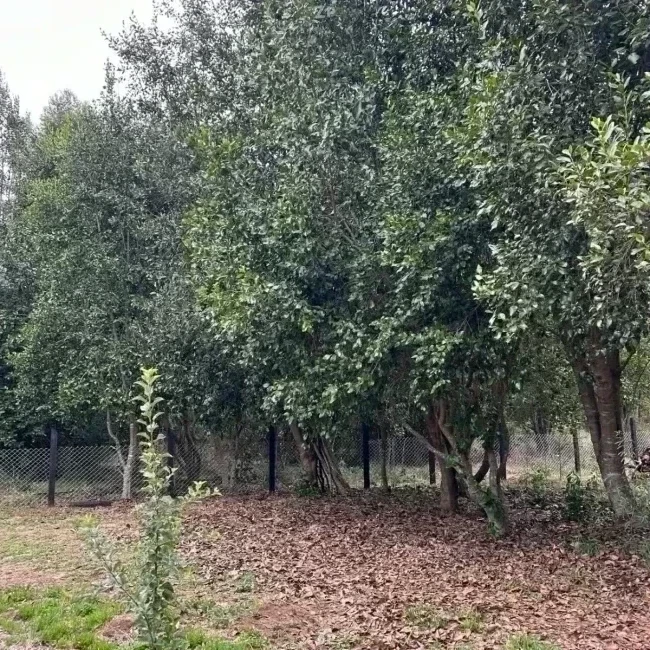 Se vende Hermosa parcela 