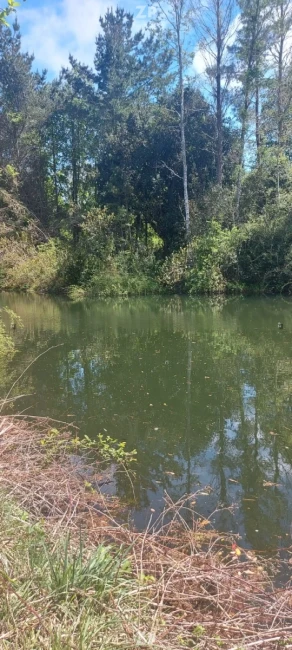 Se vende Hermosa parcela 