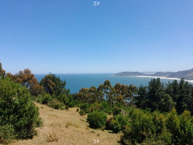 TERRENO CERCA DE MEHUIN, MARIQUINA PARA VENDER