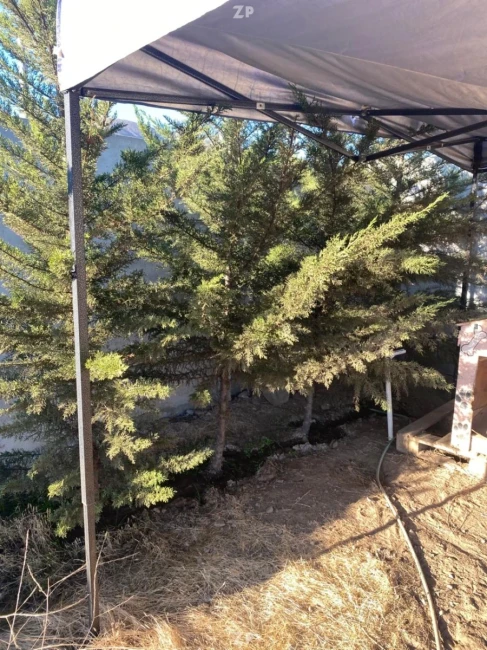 VENTA DE TERRENO PAN DE AZÚCAR CRUZ DE CAÑAS