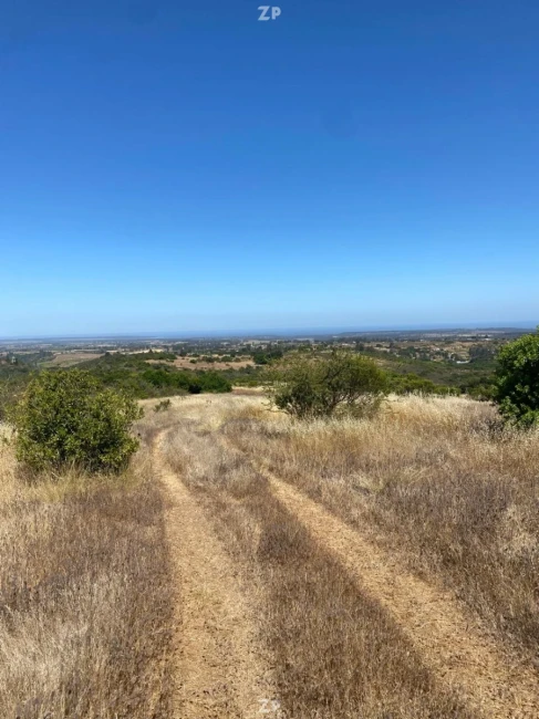 Venta Parcela 5.000 m² Loma Verde | Rol Único | Luz y Agua | Vista Panorámica