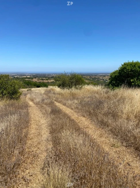 Venta Parcela 5.000 m² Loma Verde | Rol Único | Luz y Agua | Vista Panorámica