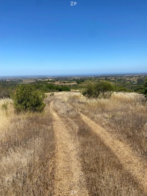 Venta Parcela 5.000 m² Loma Verde | Rol Único | Luz y Agua | Vista Panorámica