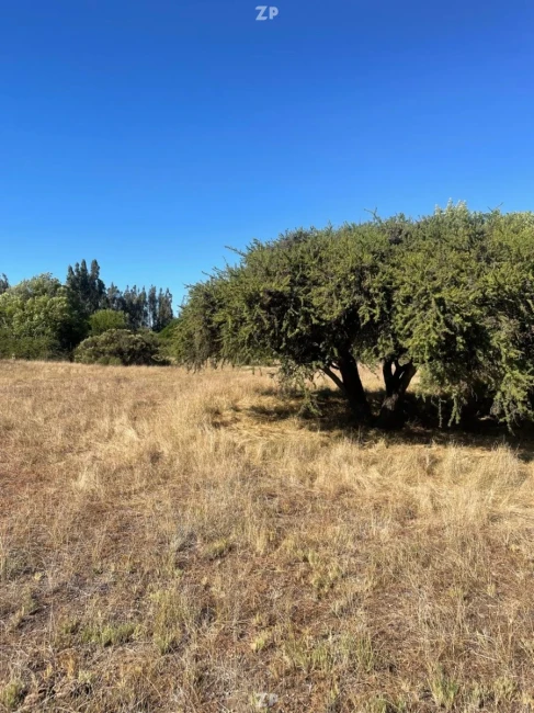 Venta Parcela Plana 5.000 m² | Rol Único | Luz y Agua | Cerca de Santo Domingo