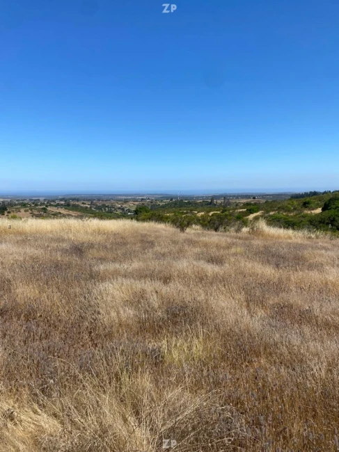 Venta Parcela 5.000 m² Loma Verde | Rol Único | Luz y Agua | Vista Panorámica