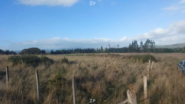  Venta de Terreno 5.000 m² – Sector Pangueco, Cañete