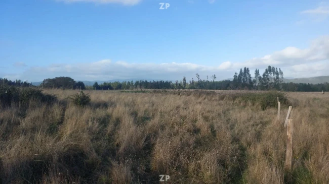  Venta de Terreno 5.000 m² – Sector Pangueco, Cañete