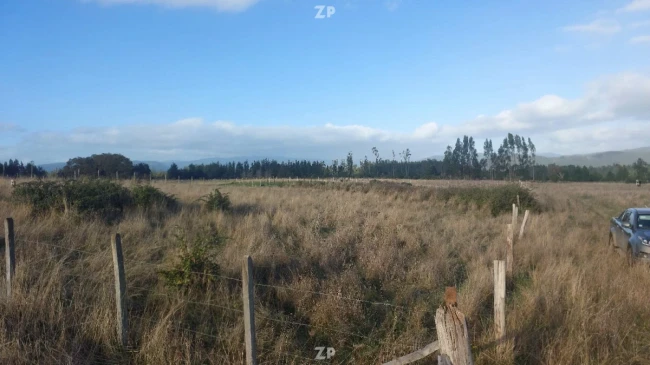  Venta de Terreno 5.000 m² – Sector Pangueco, Cañete