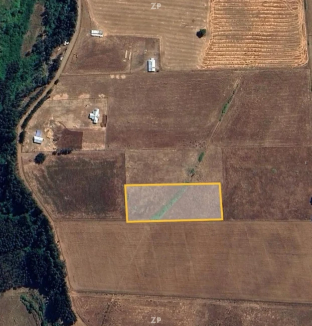  Venta de Terreno 5.000 m² – Sector Pangueco, Cañete