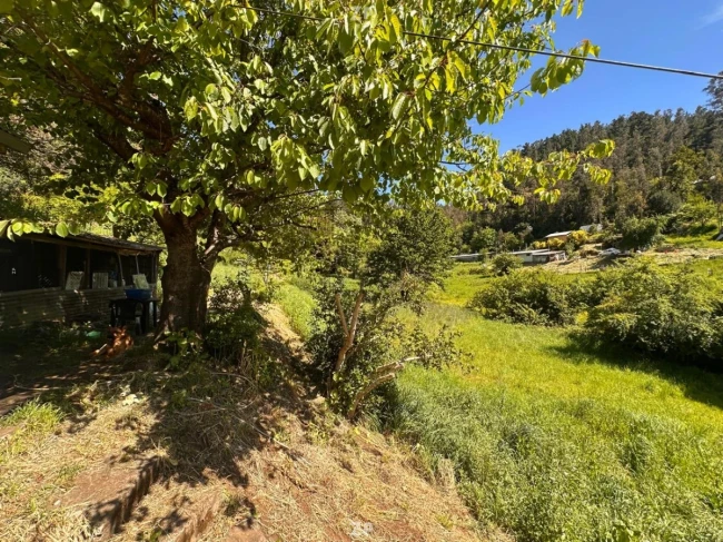 VENDO TERRENO CON CASA 
